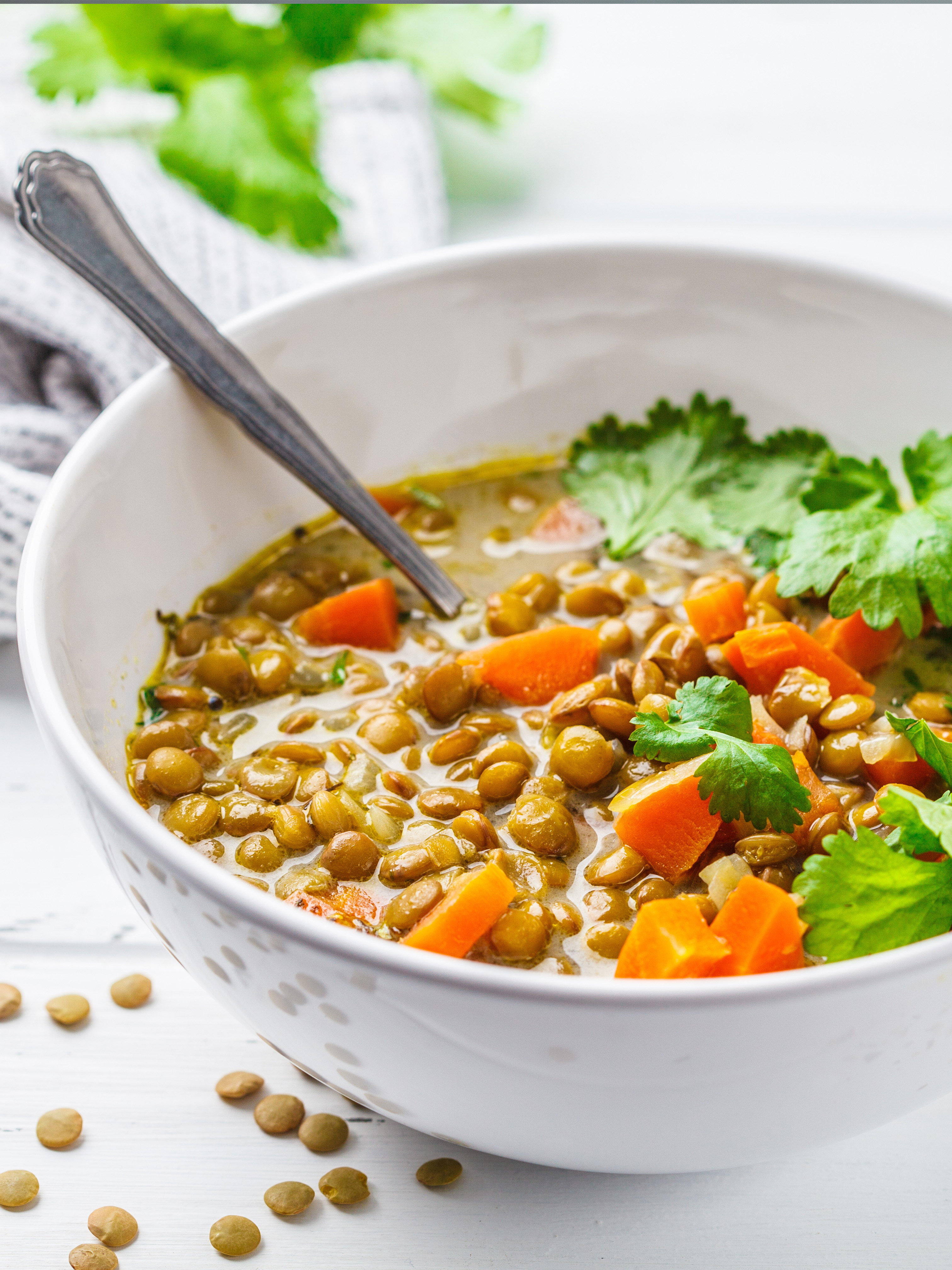 Lentil curry